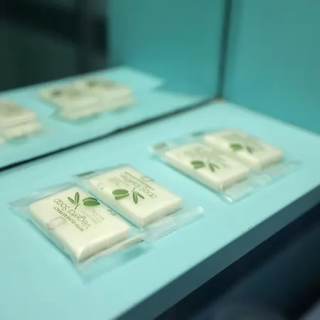 Palestrina17 - A Due Passi Dal Mare